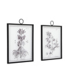 Petiole Framed Art Set of 2