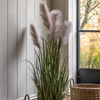 Potted Grass with Pampas Seed Heads 1270mm