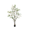 Potted Bamboo Tree 5ft