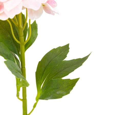 Vintage Hollyhock Floral Stem Tall Pink (12pk)