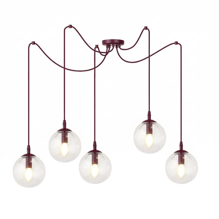 GIGI 5 BURGUNDY TRANSPARENT