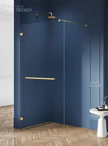 KABINA AVEXA GOLD WALK-IN U 50x200 CZYSTE 8mm ACTIVE SHIELD