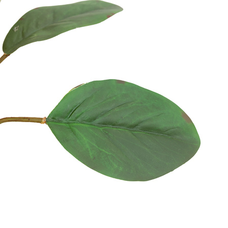 Faux Stem Statement Tropical Apricot 470mm (12pk)