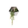 Wall Planter with Agave Succulent mix H380mm