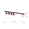 BASTER 5 BURGUNDY TRANSPARENT