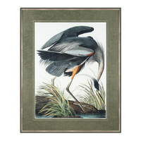 Vintage Blue Heron Framed Art 810x34x1010mm