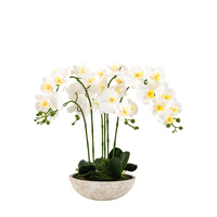 Oversized Orchid in Cement Pot White 545x545x650mm