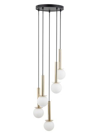 DAISY 5 złoty/biały