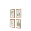 Assorted Ferns Framed Art Set of 4