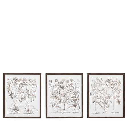 Obraz w ramie „Evergreen” – czarny, 50 × 3 × 60 cm, zestaw 3 szt.