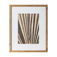 Sabal Framed Art