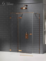 KABINA AVEXA COPPER PROSTOKĄTNA PRZYŚCIENNA L 120x110x200 CZYSTE 6mm ACTIVE SHIELD