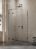 KABINA AVEXA GUNMETAL BRUSHED PROSTOKĄTNA L 100x120x200 CZYSTE 6mm ACTIVE SHIELD