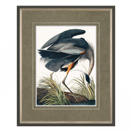 Vintage Blue Heron Small Framed Art 440x30x540mm