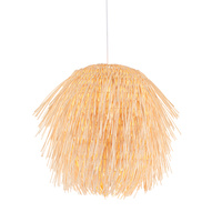 Pushpa 1 Pendant Light