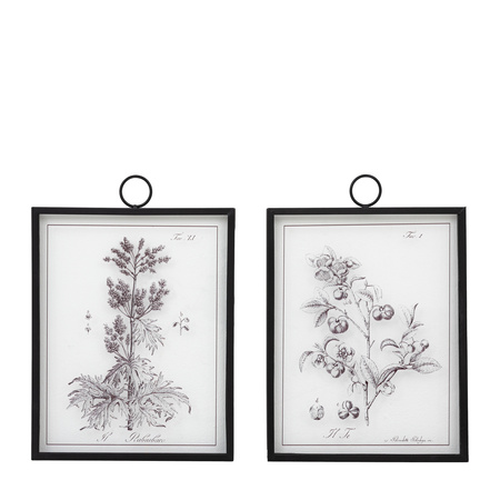 Petiole Framed Art Set of 2