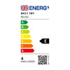 Facet Bulb Clear Glass
