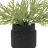 Faux Playycerium in Ceramic Pot Sage Green