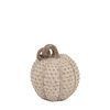 Resin Pumpkin Natural 240mm