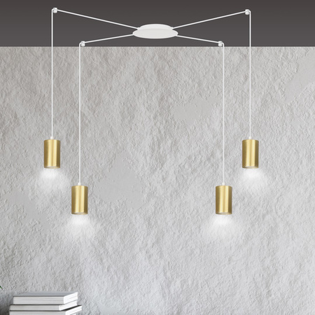 TRAKER 4 WH/GOLD