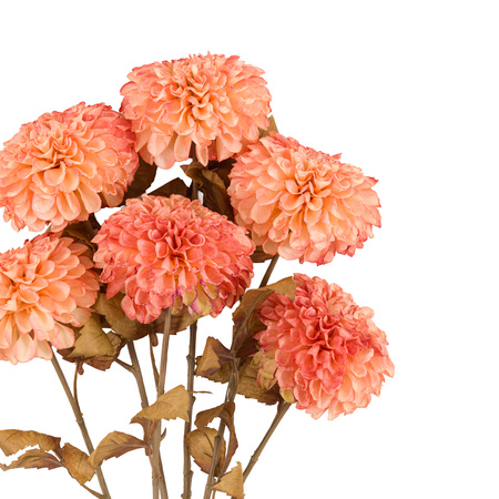 Faux Stem Dahlia Orange 730mm (6pk)