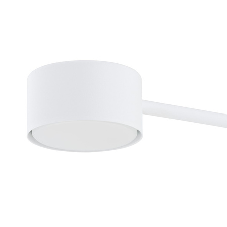 MODUS 4 WHITE