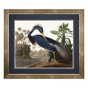 Louisiana Heron Framed Art 880x10x760mm