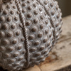 Resin Pumpkin Natural 240mm