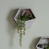 Wall Planter with Sedum Succulent mix H380mm