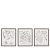 Evergreen Framed Art Set of 3