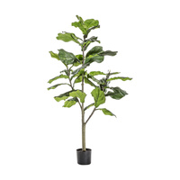 Drzewko skrzypcowe z 39 liśćmi 580 x 580 x 1200 mm