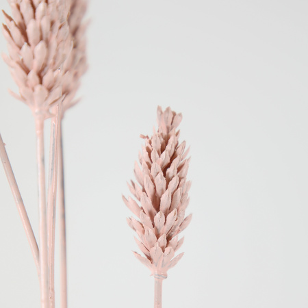 Wheat Spray Blush (6pk) H680mm