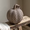 Resin Pumpkin Natural 240mm