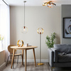 Hoop 1 Pendant Light Brushed Brass/Nickel/Copper