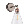 Hal Wall Light with Clear Shade 170x267mm