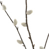 Faux Willow Stem (5pk) 40x250x800mm