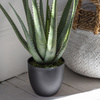Faux Aloe 600mm