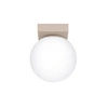 taupe \ Plafon 1