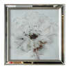 White Peony Framed Art 590x590mm