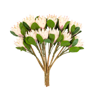 Faux Stem Statement Tropical Ivory 470mm (12pk)