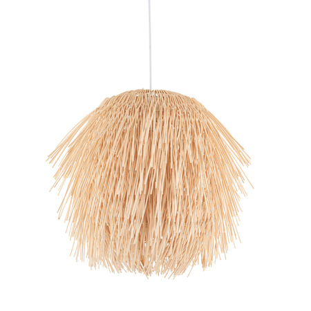 Pushpa 1 Pendant Light