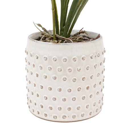 Orchid Orange in White Ceramic Dot Pot 400mm