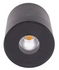 MAXLIGHT C0151 PLAZMA PLAFON CZARNY IP54