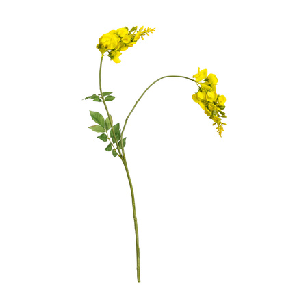 Wisteria Spray Yellow (3pk) 780mm