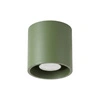 zielony oliwkowy \ Plafon 1