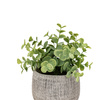 Potted Plant Ceramic Scratch Pots Sage Set of 2