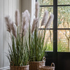 Potted Grass with Pampas Seed Heads 1270mm
