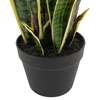 Potted Sansevieria Plant 4ft