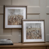 Meadow Mischief Framed Art Set of 2