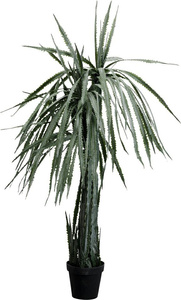 KARE roślina dekoracyjna DRAGON TREE 155  cm